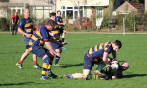 IMG 4599 